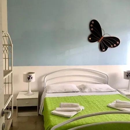 Singola فاليدوريا