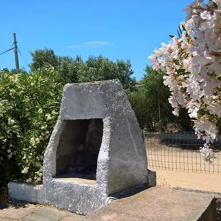 Singola * فاليدوريا